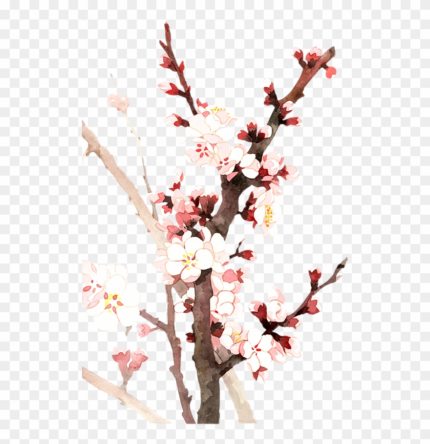 Almond Blossom Flower - زهر اللوز Clipart - Png Download