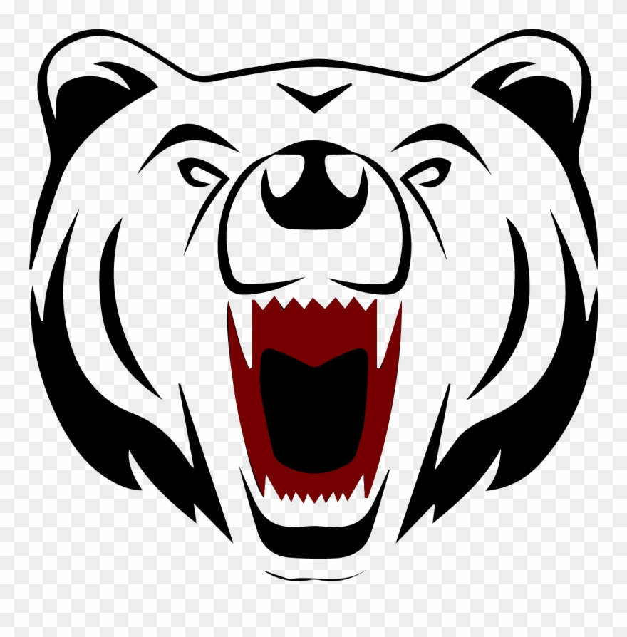 Polar Bear Face Cartoon , Png Download - Drawings Of Bear Faces Clipart