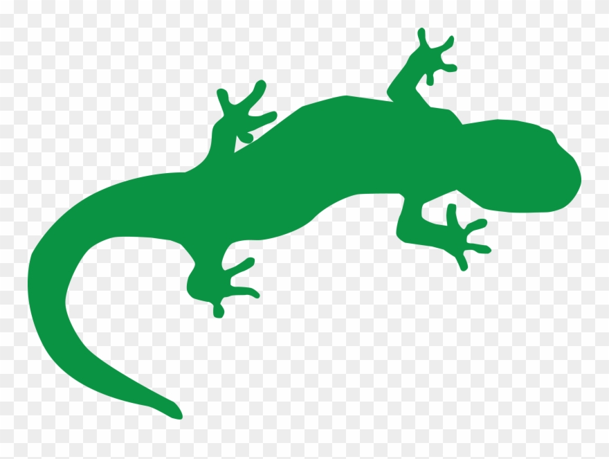 Mark Urban Logo - Salamander Clipart
