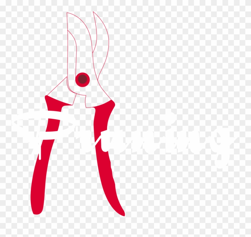 Pruning White - Illustration Clipart