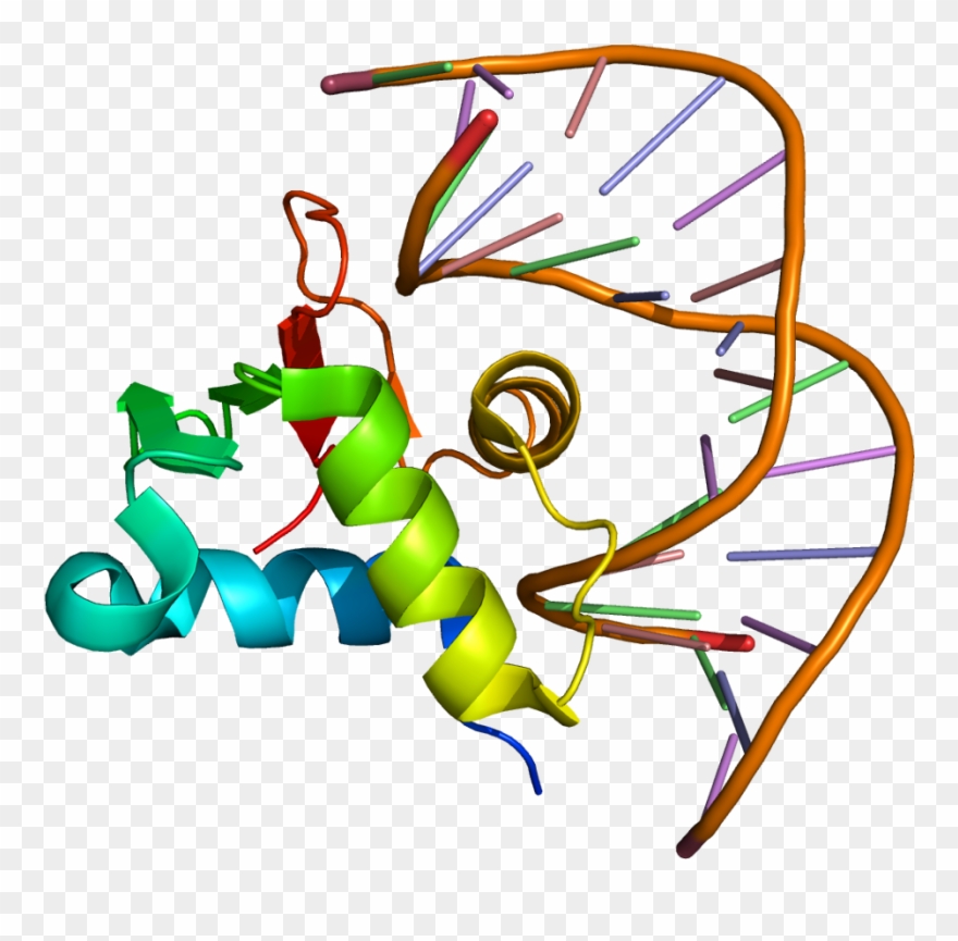 Graphic Design Clipart