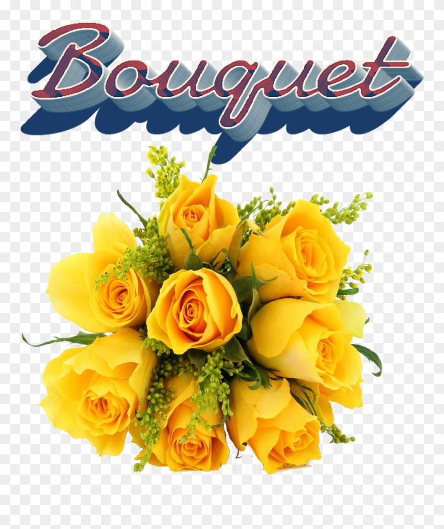 Rose Flower New Flower Bokeh Png Clipart