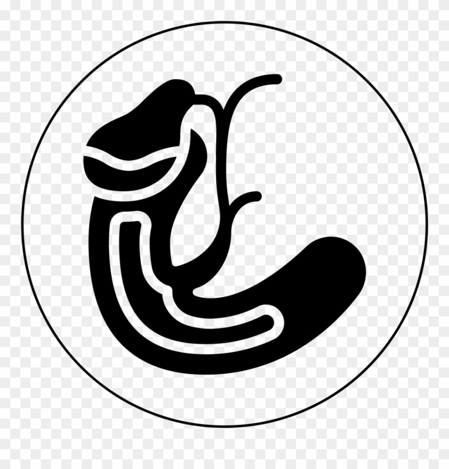 Icon Gallbladder Black-01 - Illustration Clipart