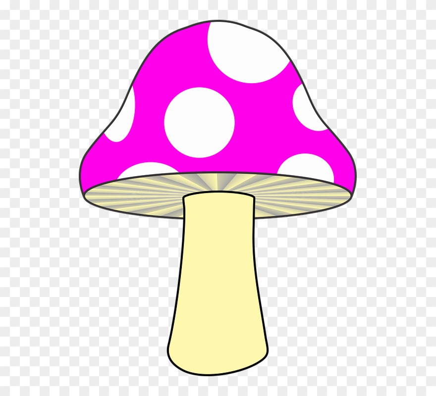 Mushroom Clipart Yellow Mushroom - Cartoon Green Mushroom - Png Download