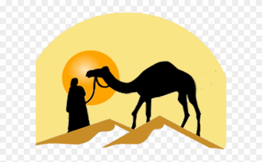 Morocco Clipart Transparent Background - Dromadaire - Png Download