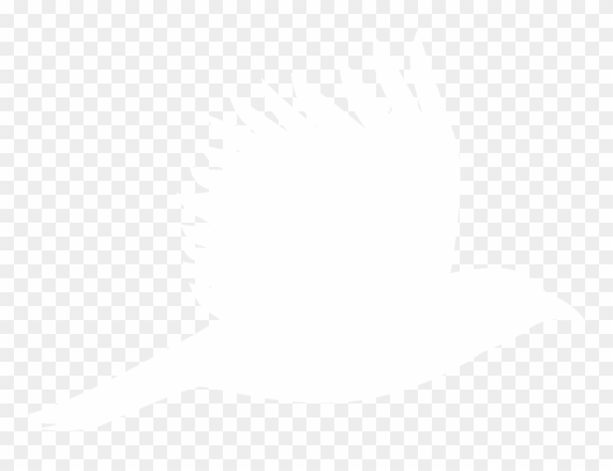 Immigration Dna Test - Illustration Clipart