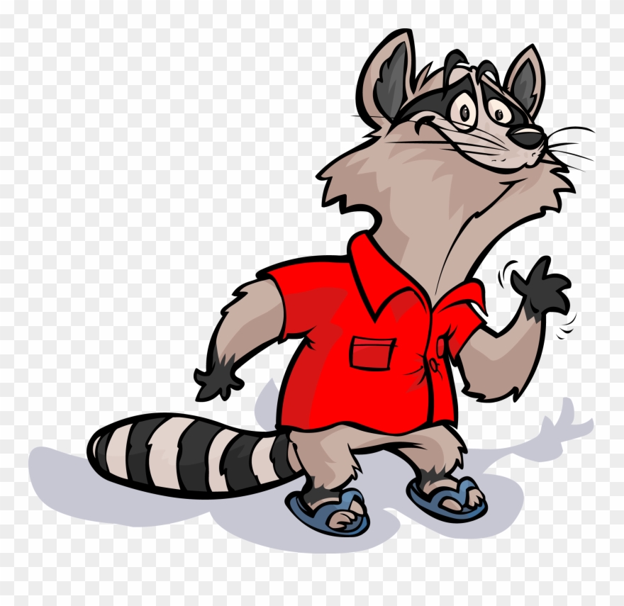 Raccoon At Getdrawings Com Free For Personal Ⓒ - Raccoon Clipart