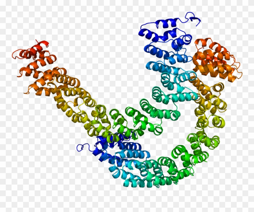 Proteinas Quinases Clipart