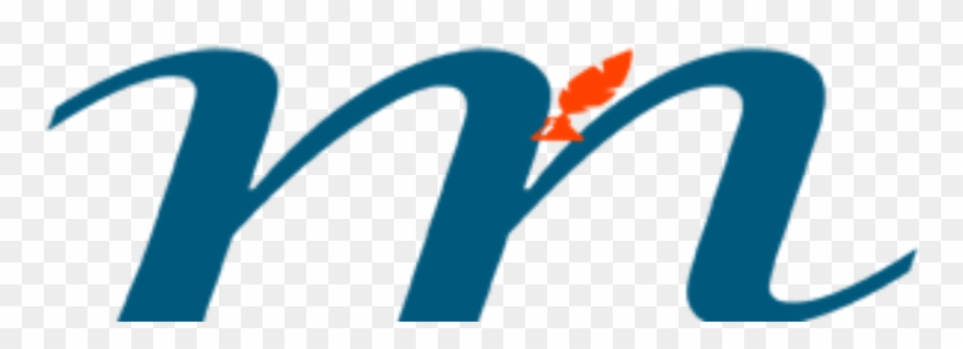 Cropped Logo300x100 1 Clipart