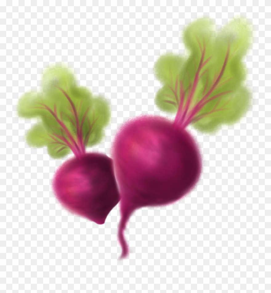 Beets Png - Beet Greens Clipart