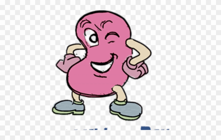 Happy Clipart Kidney - Png Download