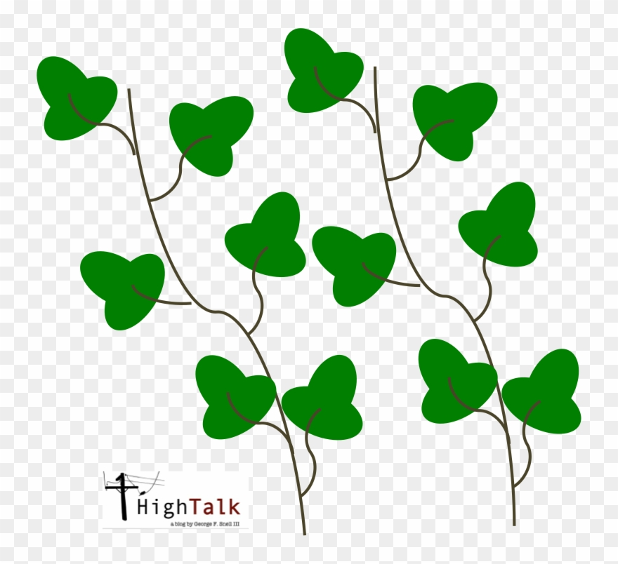 Vines Are Some Of The Most Beautiful Plants In The Clipart