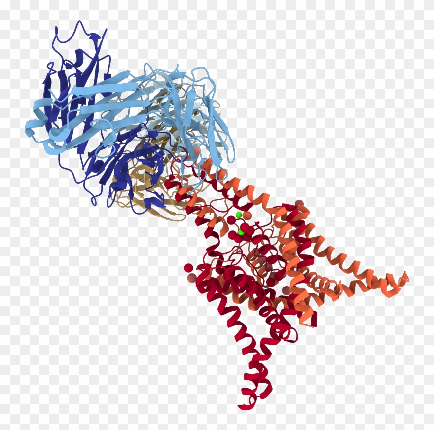 Chains Colored In Rainbow - Graphic Design Clipart