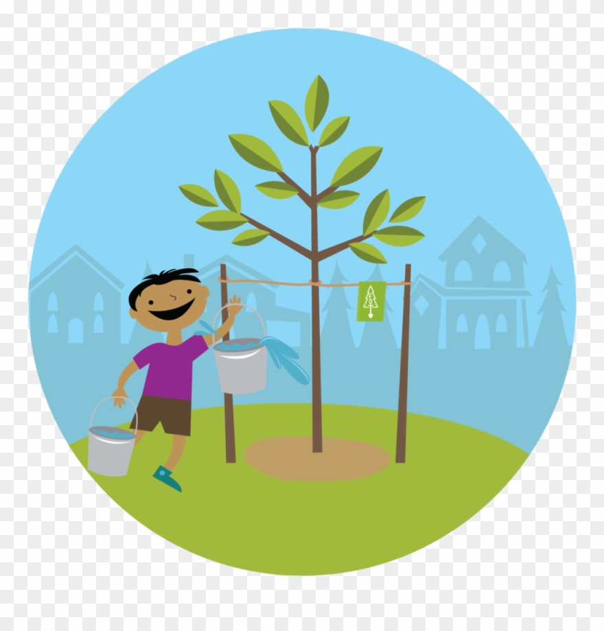 Congratulations On Planting A New Tree - Plant A Tree Png Clipart