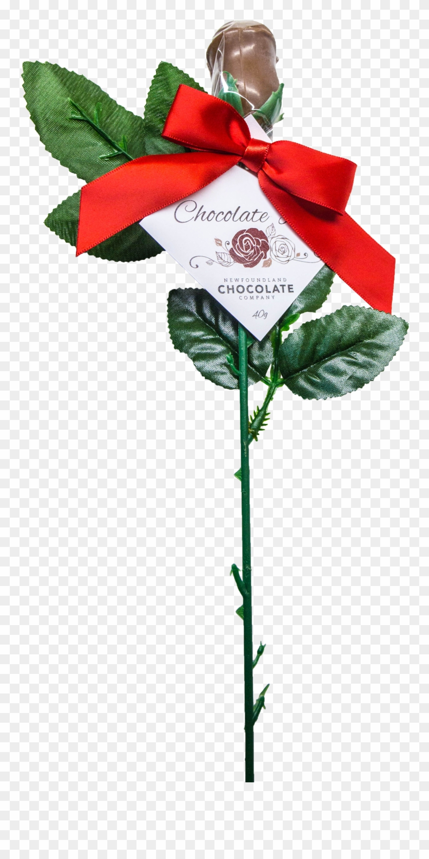 Single Milk Rose V=1516284024 - Garden Roses Clipart