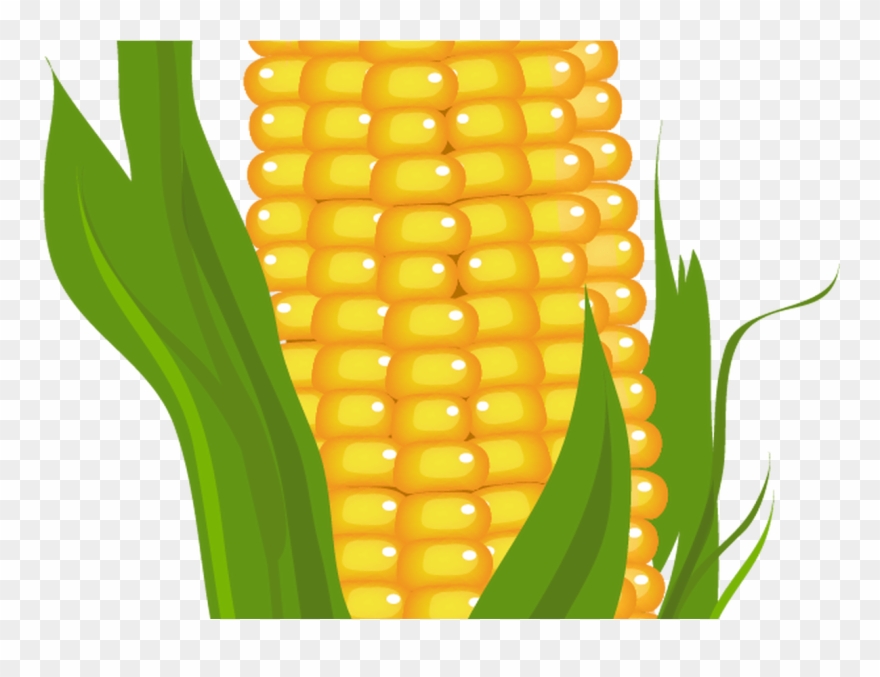 Corn Clipart Prints, Pictures And More Pinterest Frozen - Corn Clipart - Png Download