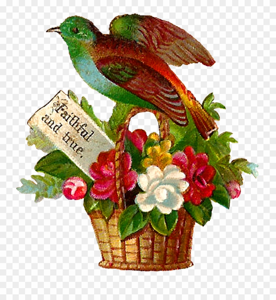 Each Little Bird Perched On The Flower Baskets Are - Illustration Clipart