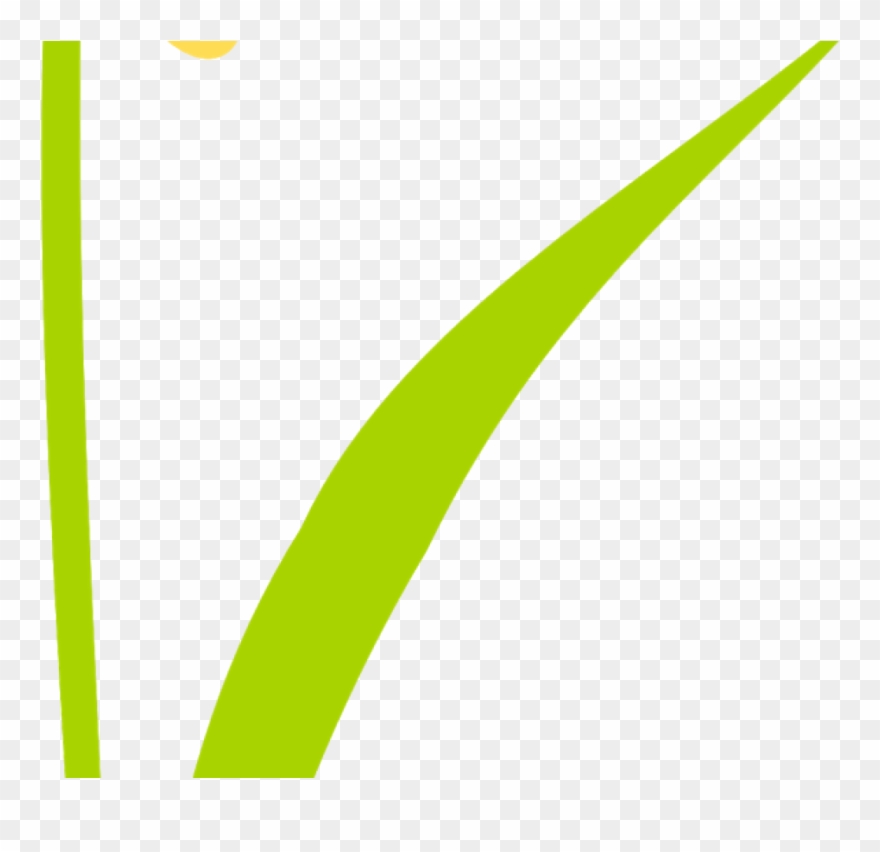 Free Scrap Flower Png Flower Scrapbooking Embellishment - Parallel Clipart