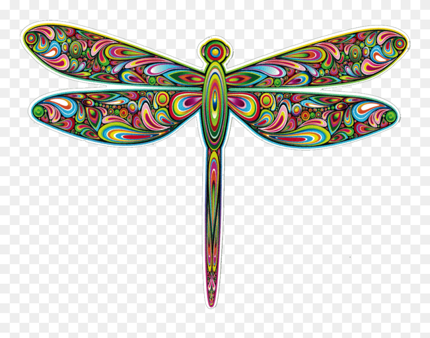 Bumper Sticker / Decal - Bright Dragonflies Clip Art - Png Download