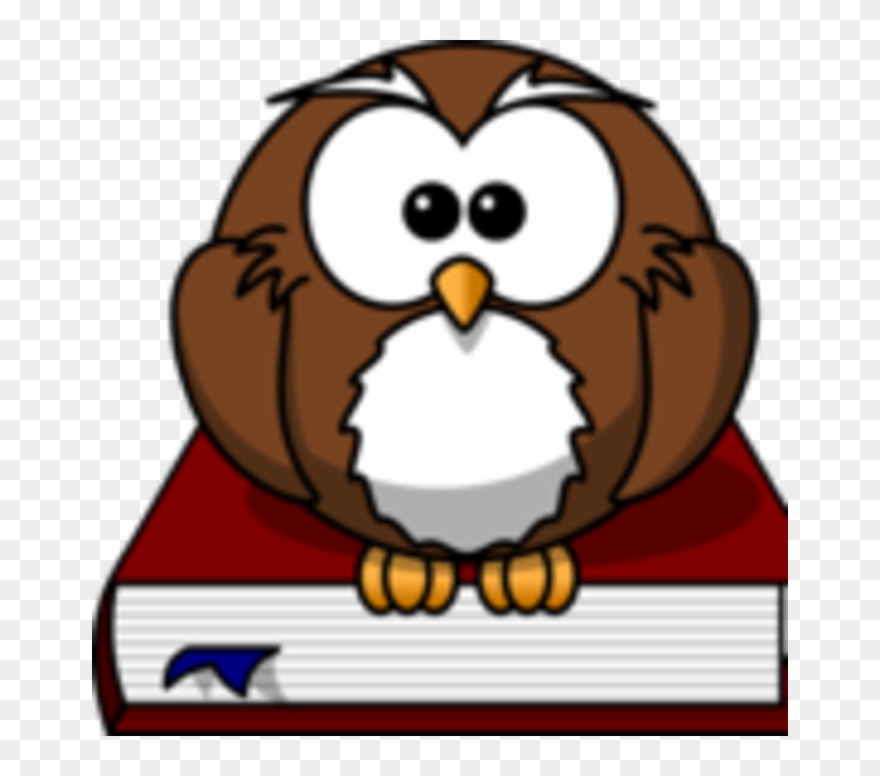 Cartoon Owl Clipart