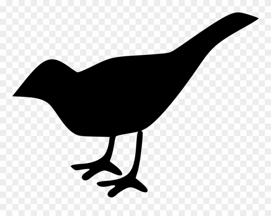 Jpg Free Bird Svg Png Icon Free Download - Bird Free Icon Clipart