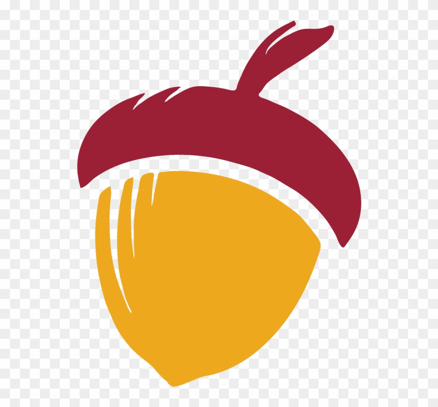 Acorn - Illustration Clipart