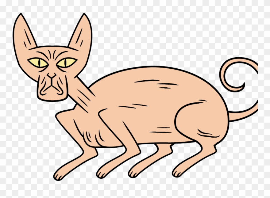 Cat Clipart Cat Whiskers Png , Png Download Transparent Png