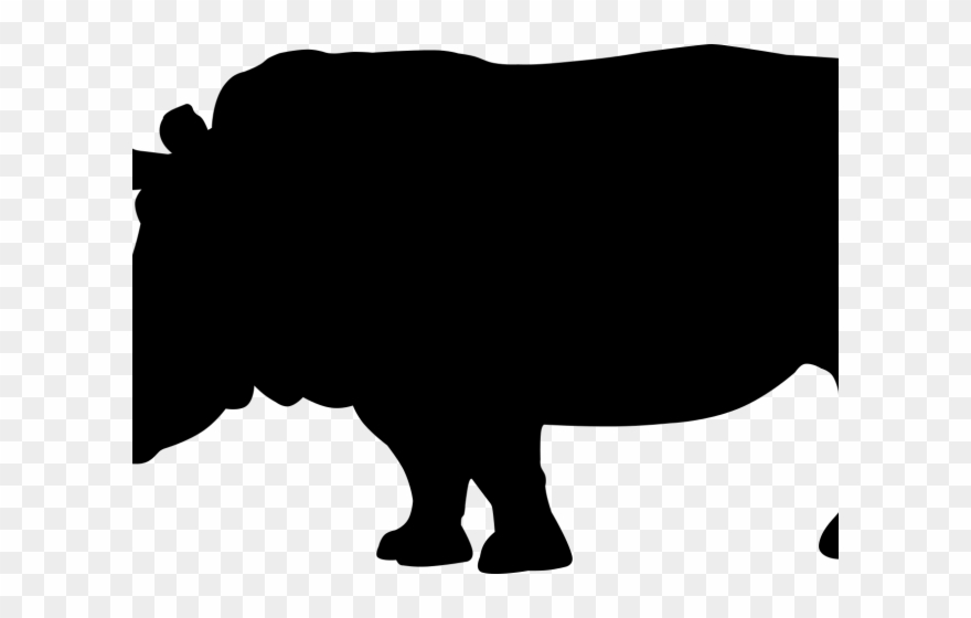 Rhino Clipart Shadow - Hippopotamus - Png Download
