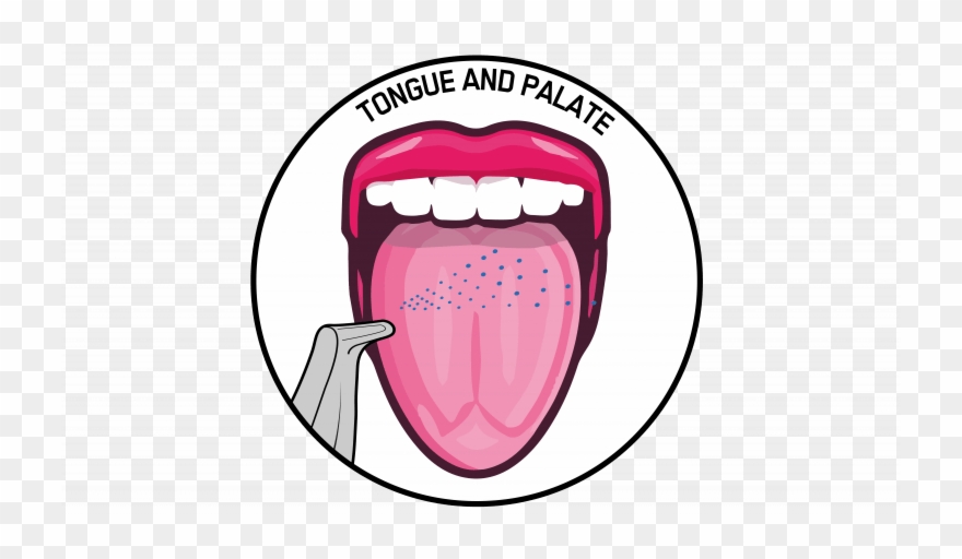 Tongue And Palate Clipart