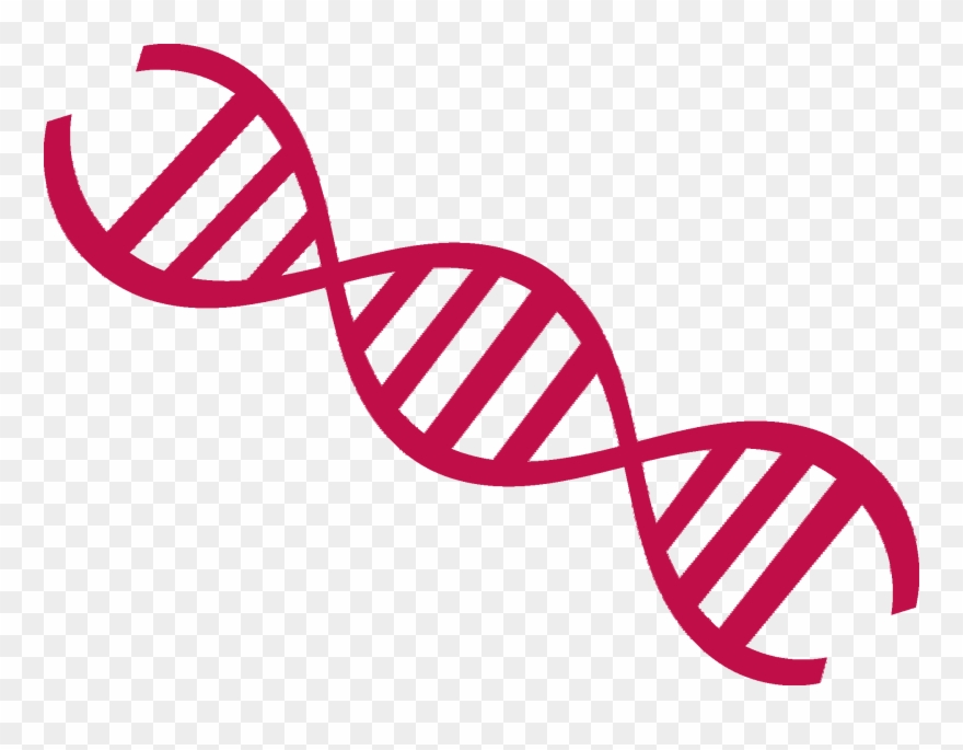 Nutrition Mot's - Molecula De Dna Desenho Clipart