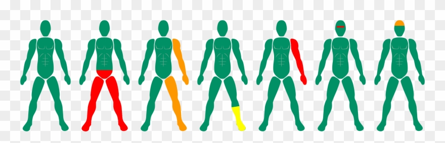 Muscles - Illustration Clipart