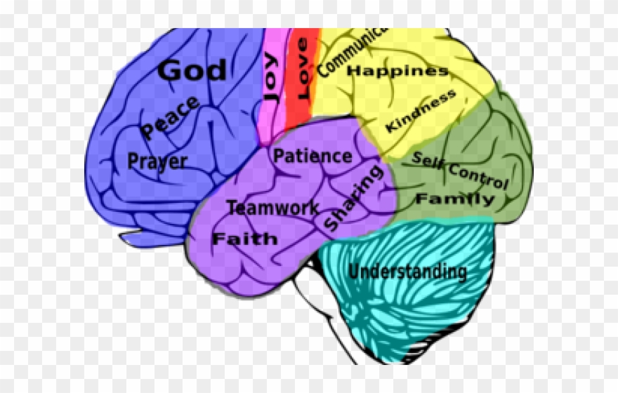 Human Brain And Social Media Clipart