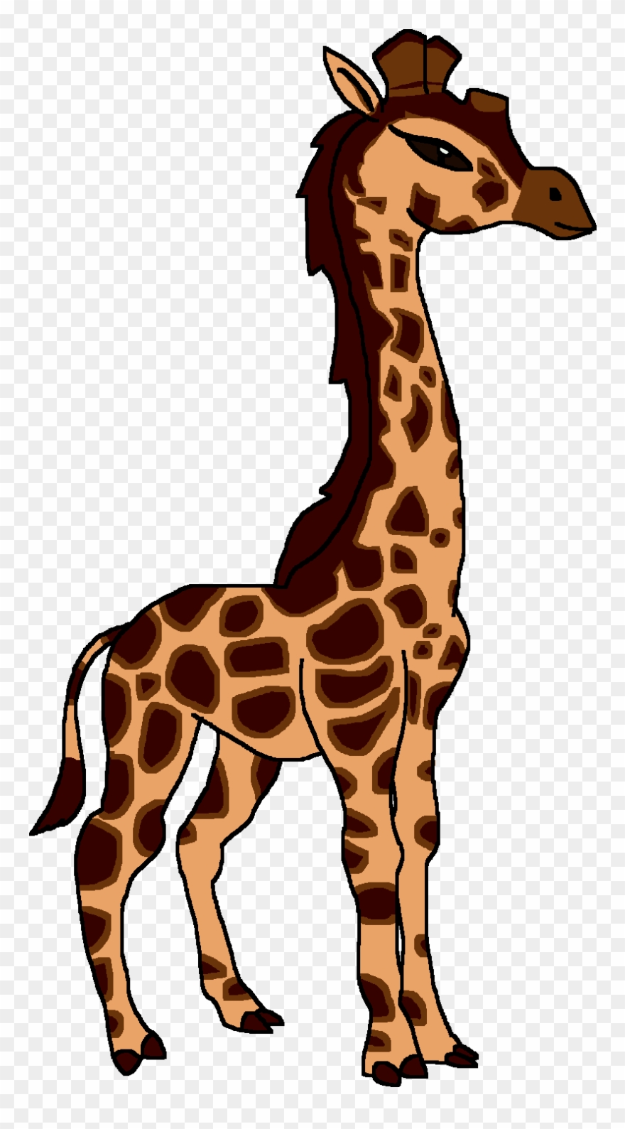 Rothschild's Giraffe - Giraffe Clipart