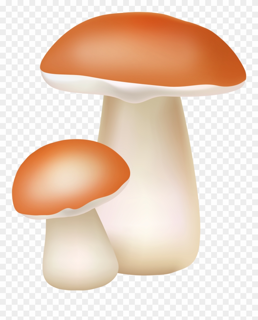 Two Mushrooms Png Cliaprt Clipart