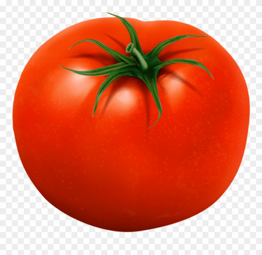 Free Png Download Tomato Transparent Png Images Background - Transparent Background Tomato Clipart