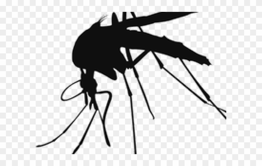 Finnish Air Force Mosquito Clipart