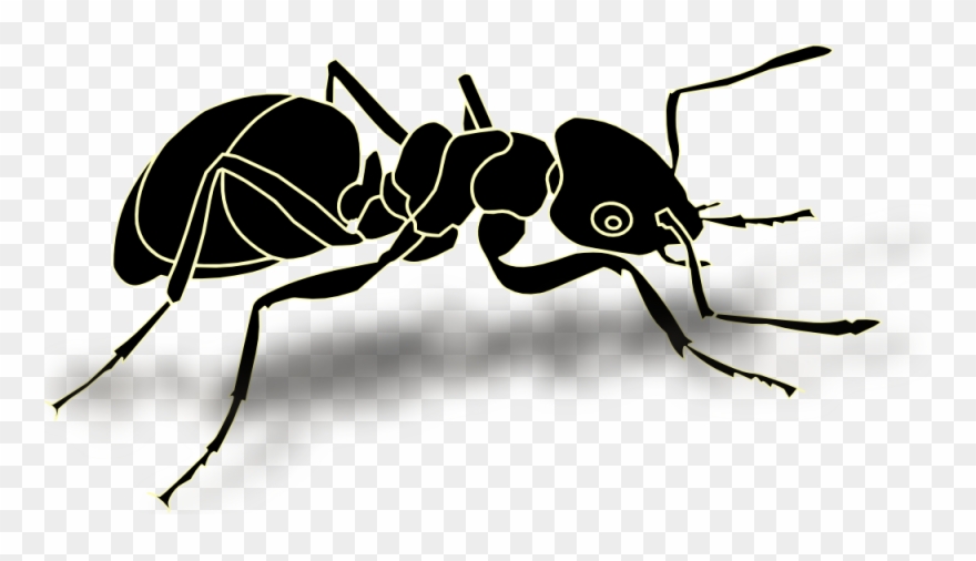 Clip Art Details - Black Ant Vector - Png Download