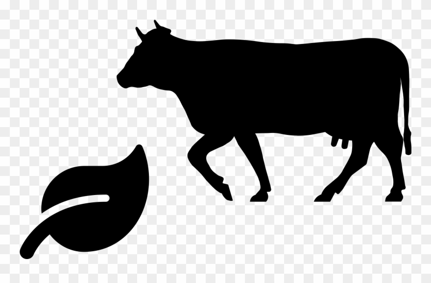 Sustainable Meat Icon - Transparent Cow Silhouette Clipart