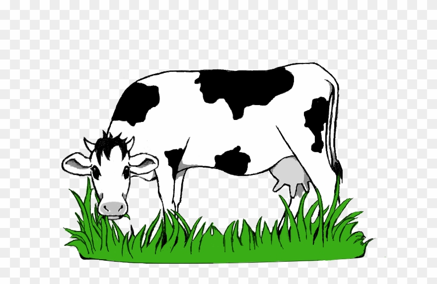 Black And White Stock Collection Of Grazing High Quality - Cow Eating Grass Png Clipart