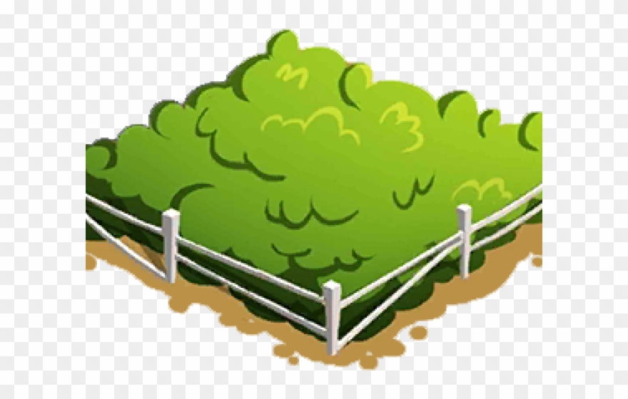 Lettuce Clipart Patch - Illustration - Png Download