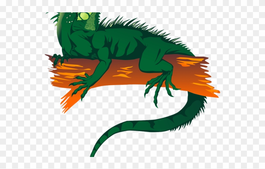 Green Iguana Clipart Lizard - Rainforest Animals Png Transparent Png
