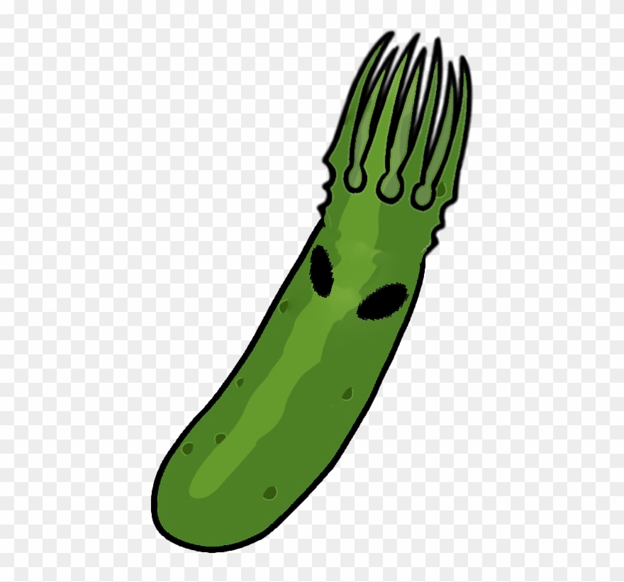 Here - Zucchini Clipart