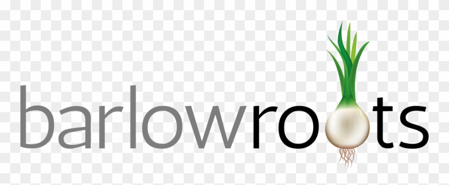 Zucchini/summer Squash On The Grill - Line Art Clipart