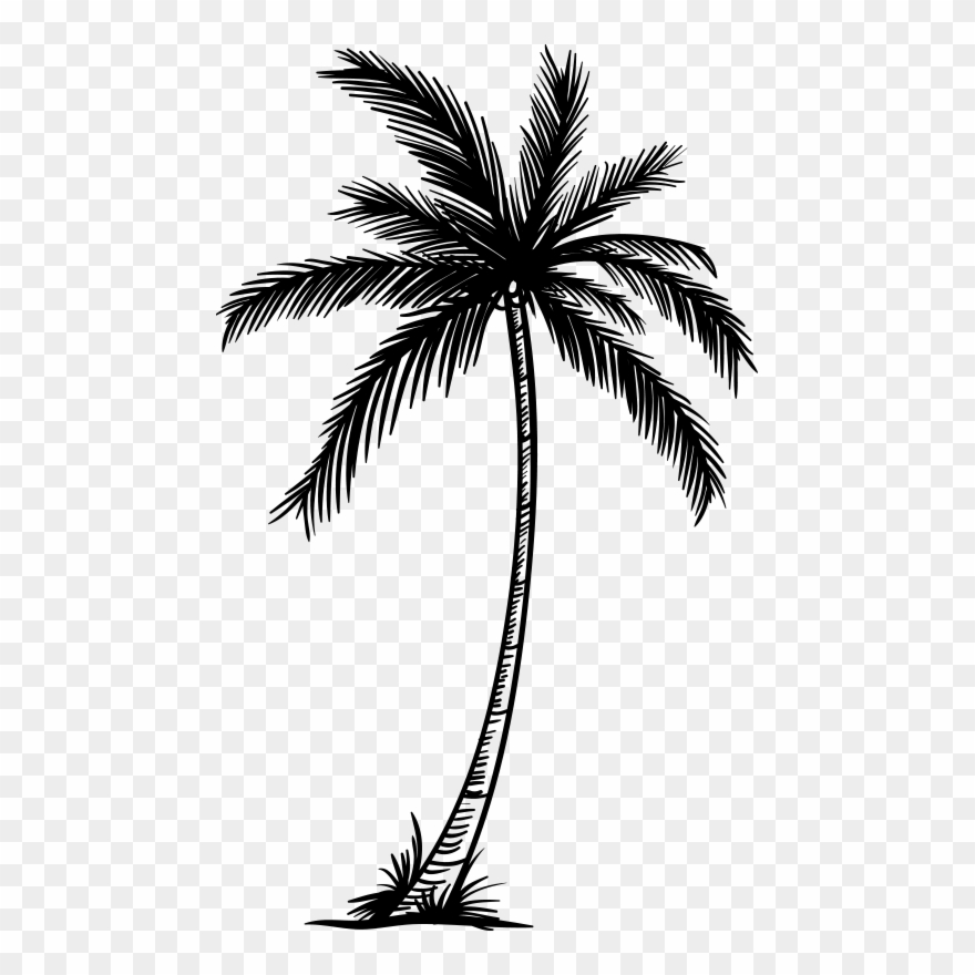 Filling In A Request Is Not A Final Booking - Attalea Speciosa Clipart