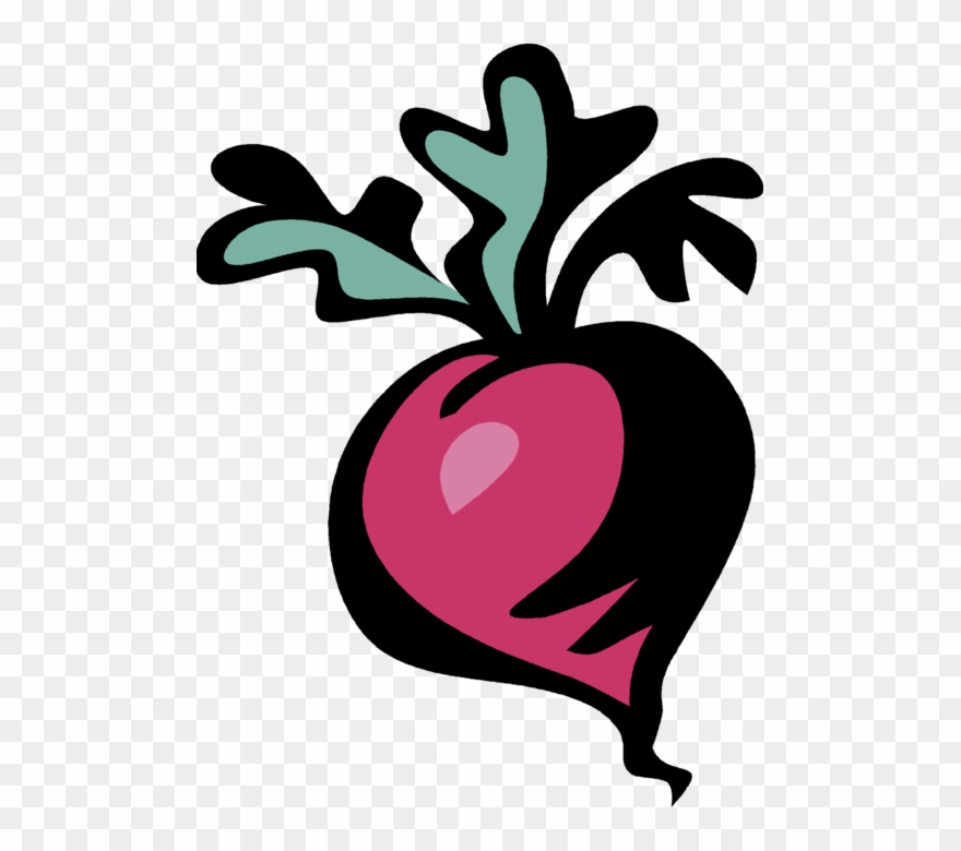 Vector Illustration Of Crisp, Pungent Edible Root Vegetable Clipart