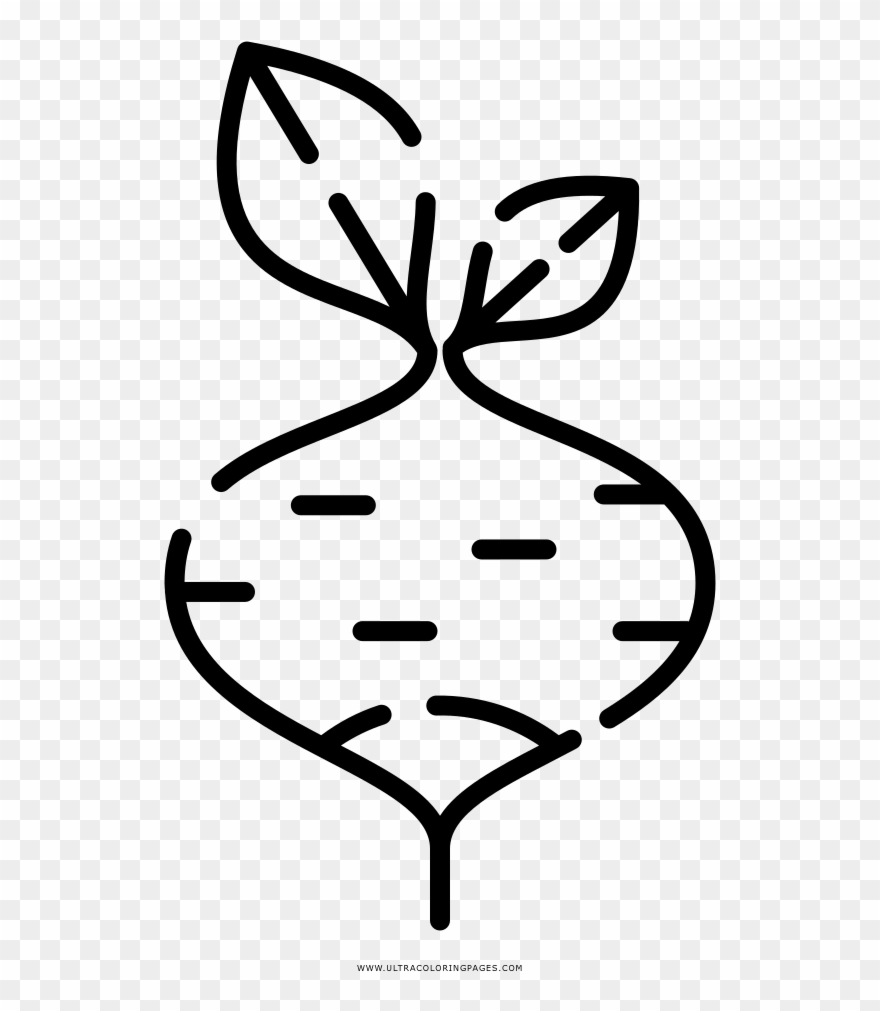 Radish Coloring Page - Line Art Clipart