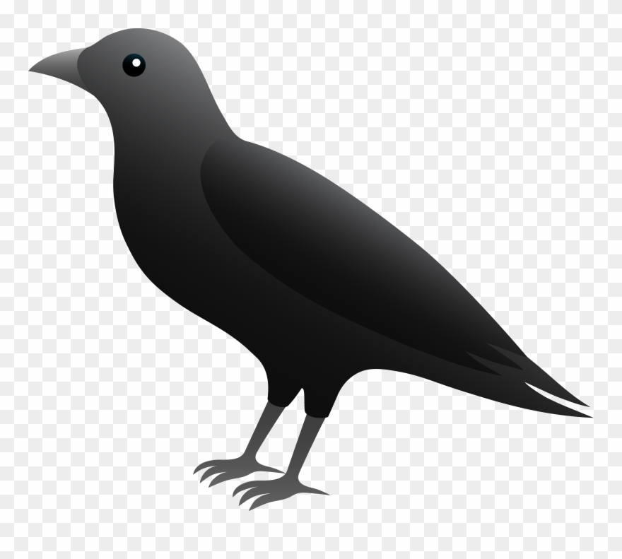 Black Crow Clip Art - Png Download