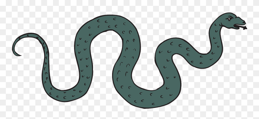 Reptile Clip Art Snake Transprent Png Free - Snake Slithering Clipart Transparent Png