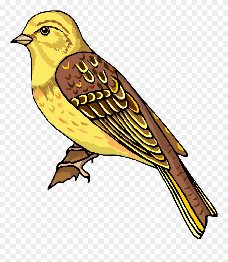 Staying Realistic Bird Clipart Png - You Turn Your Worry Into Worship Transparent Png