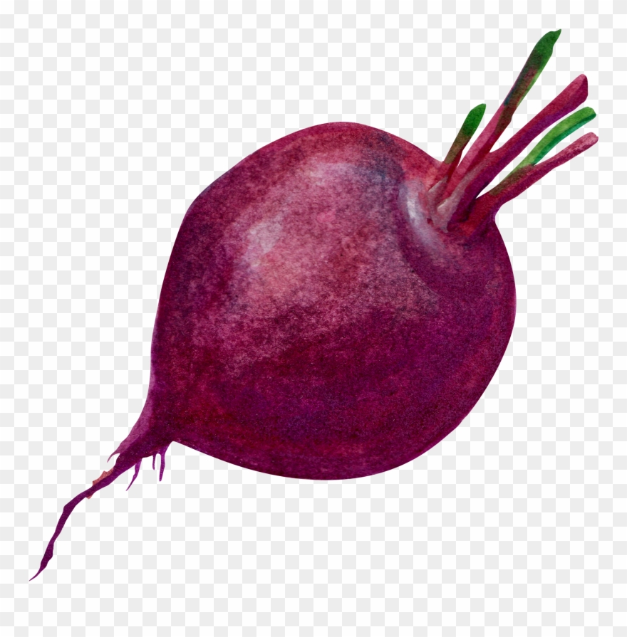 2300 X 2000 5 - Beetroot Clipart